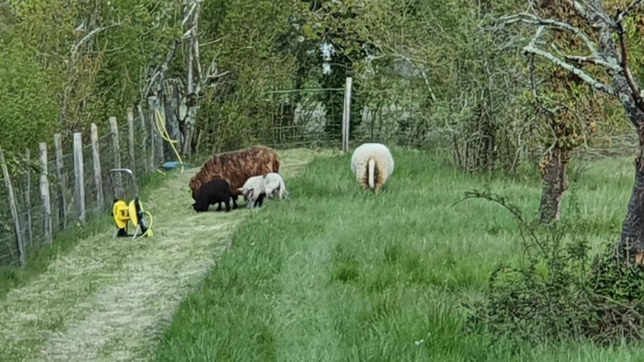 Grande Maison Avec Jardin, Animaux,Au Calme Yviers Buitenkant foto