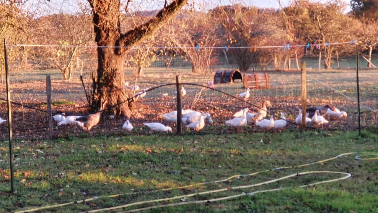 Grande Maison Avec Jardin, Animaux,Au Calme Yviers Buitenkant foto